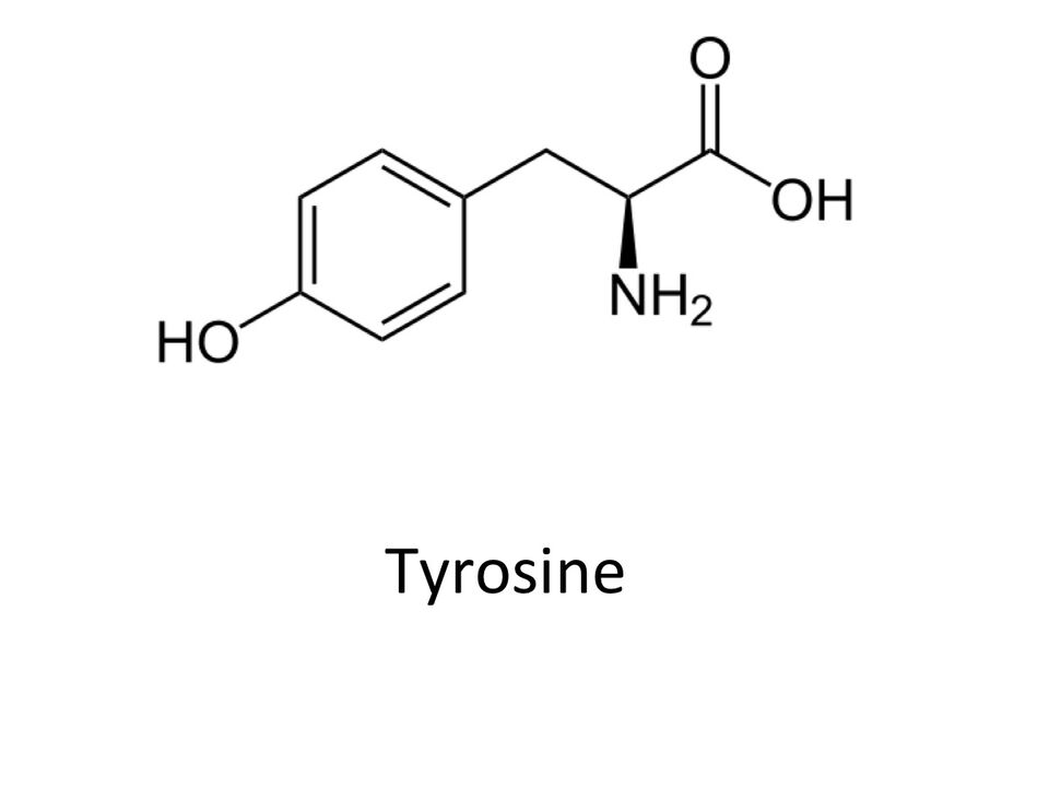 Tyrosine dans ABSlim